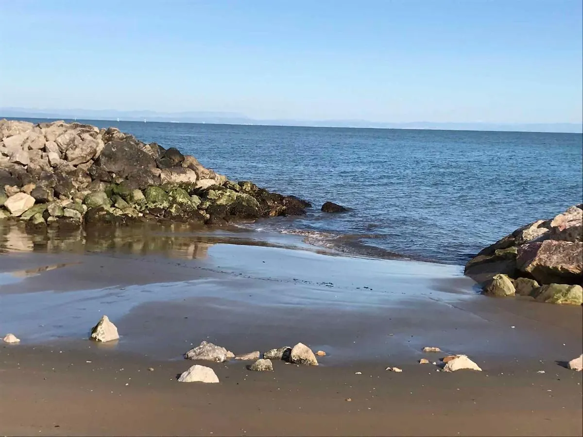 Apartment In Bibione 40875